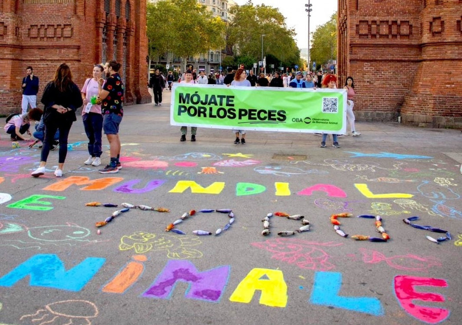 Campaña “Mójate por los peces”