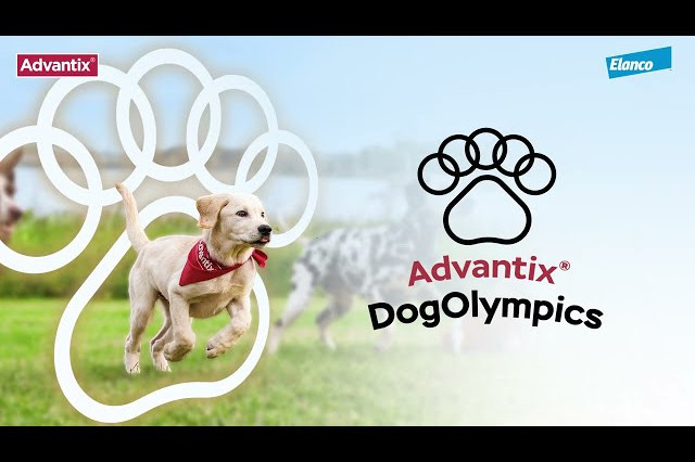 Iniciativa Advantix® DogOlympics