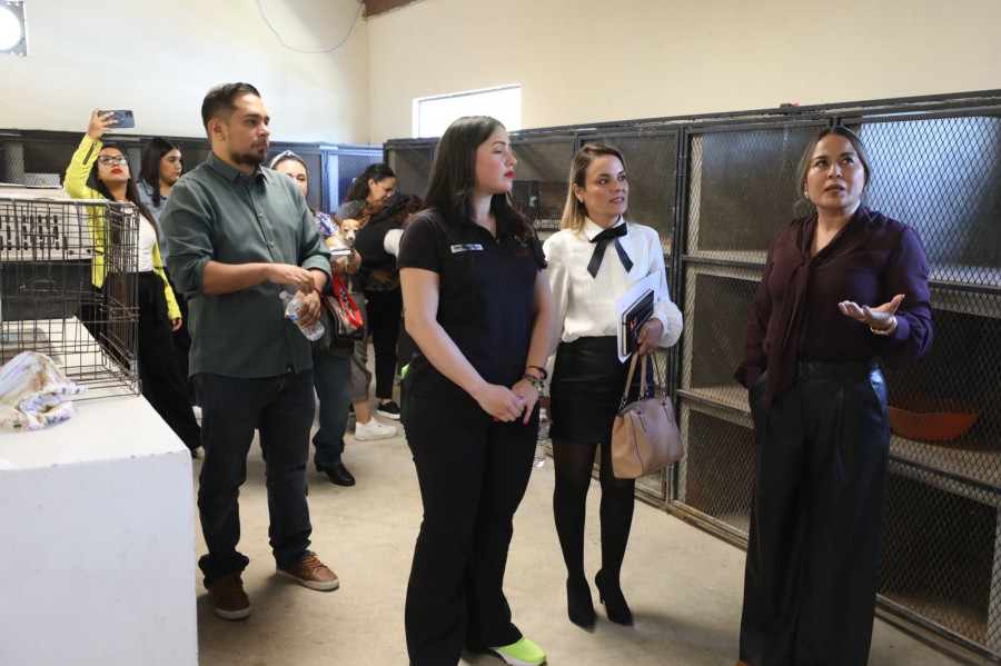 Centro de Rescate y Adopción de Mascotas del Municipio (RAMM) de Ciudad Juárez