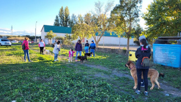 Calier impulsa nuevas acciones de voluntariado para fomentar la tenencia responsable de animales de compañía