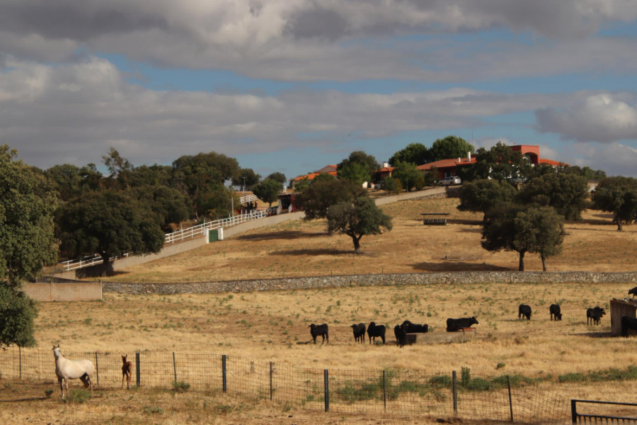 Granja aire libre