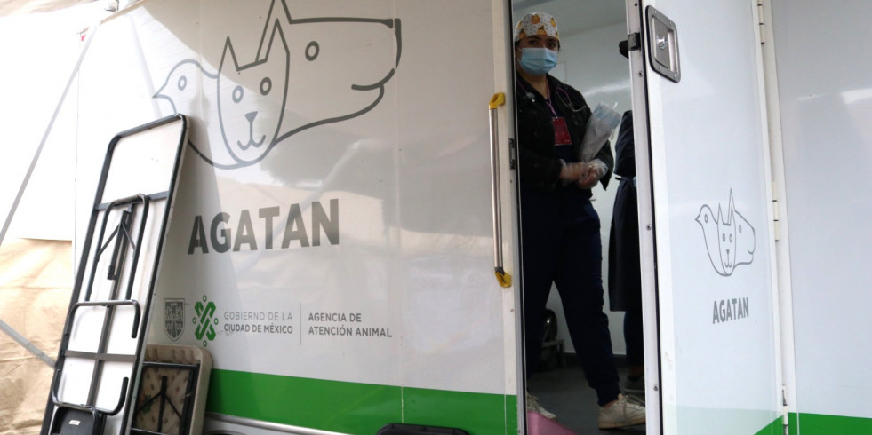 Veterinarios de CDMX expresan su desacuerdo hacia la nueva directiva de la Agencia de Atención Animal