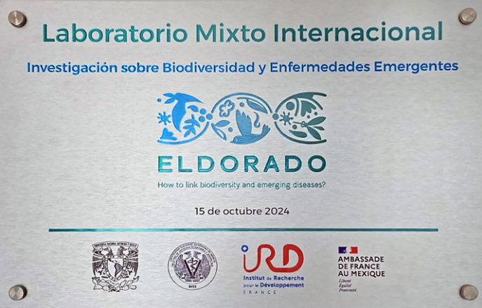 Laboratorio ELDORADO