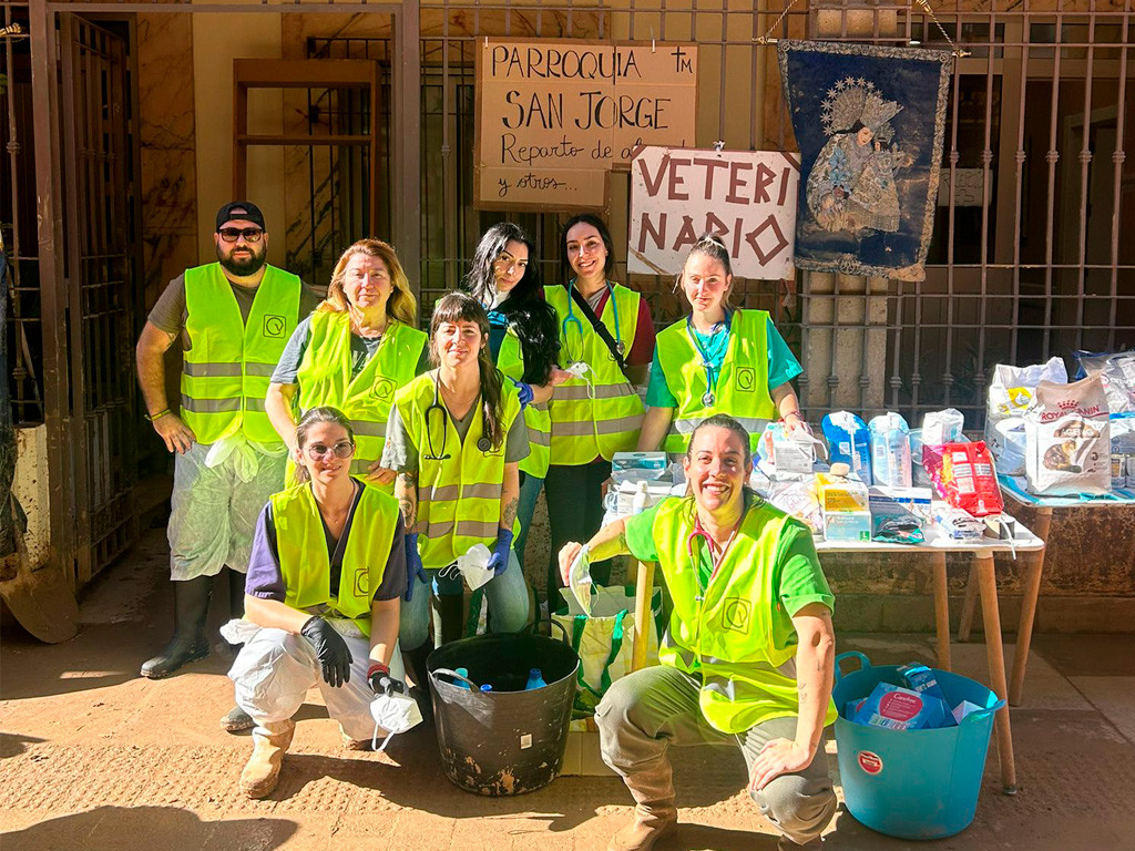 Veterinarios dana valencia