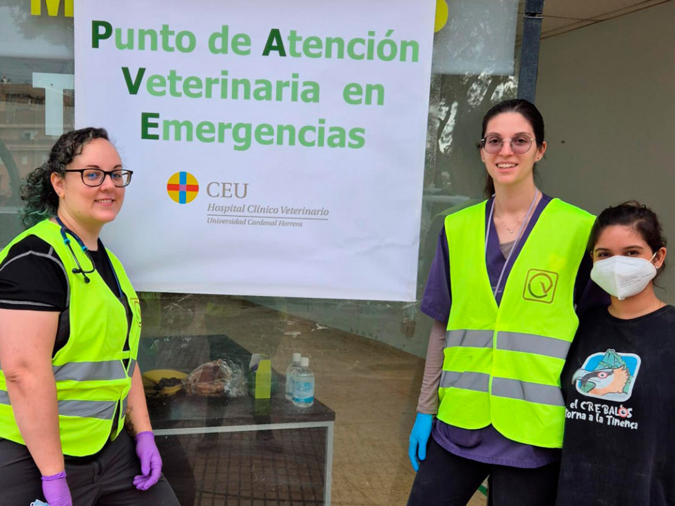 DANA Valencia: “Desgraciadamente habrá muchos veterinarios que no podrán abrir sus clínicas”