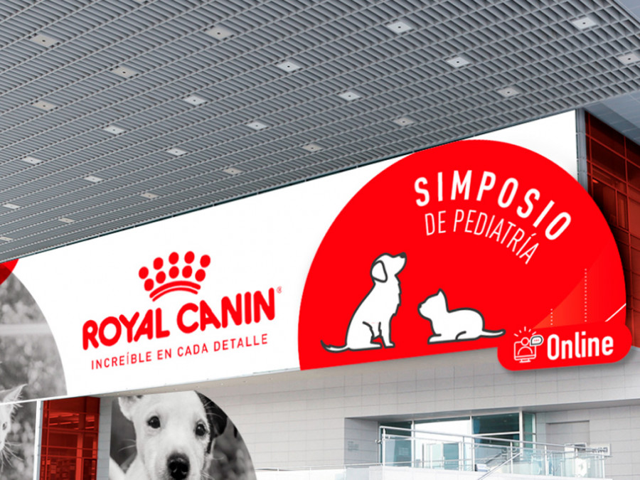 Simposio royal canin pediatría