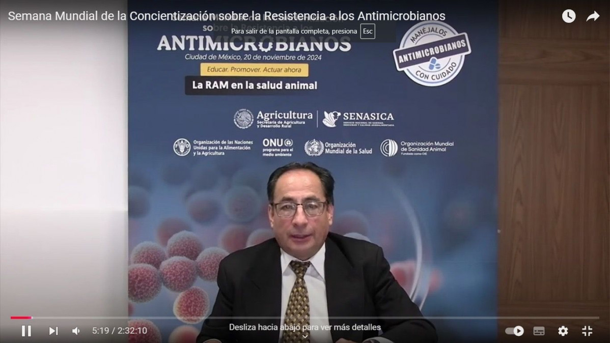 Semana Mundial Contra Antimicrobianos