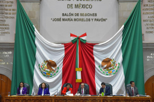 Edomex finalmente avala reforma federal para la protección y cuidado animal