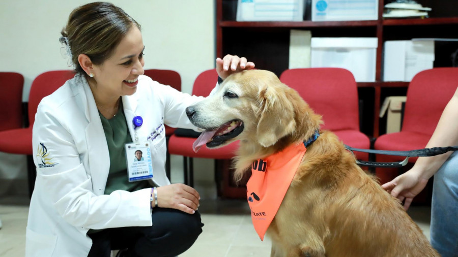 Terapia con animales