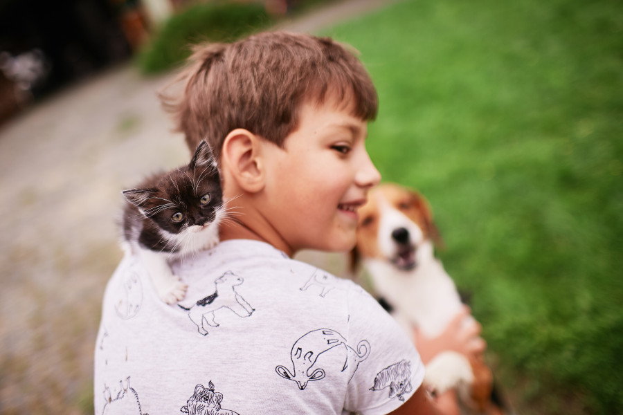 Niño jugando con su perro y gato en el jardín