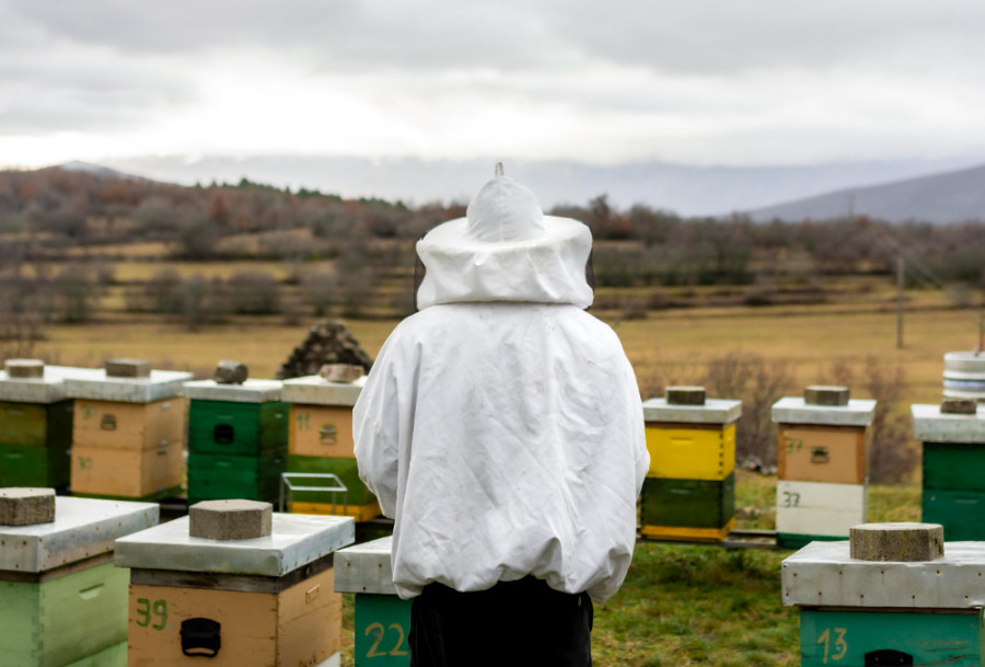 retirada medicamento veterinario Apivar para Varroa jacobsoni