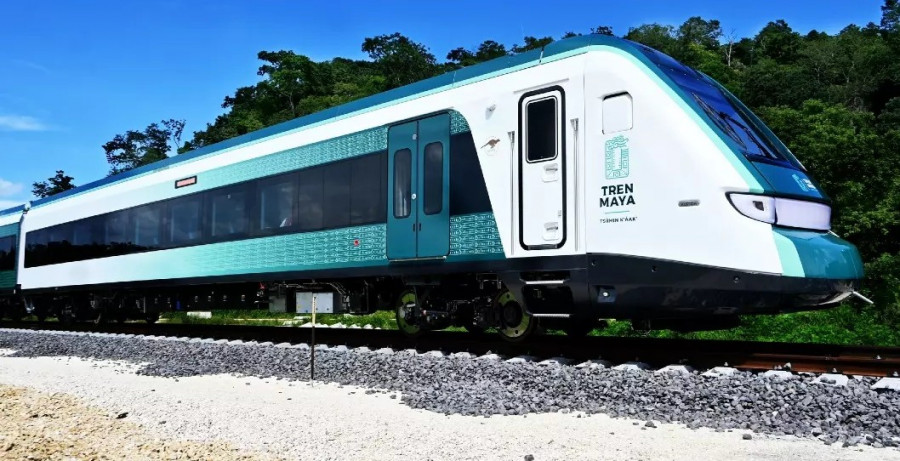 Movilización y trato de la fauna presente en las obras del Tren Maya