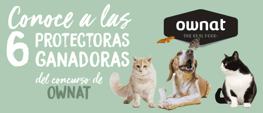 Ownat concurso protectoras