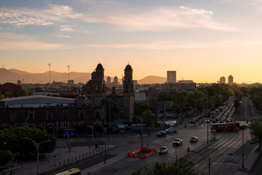 Advierten riesgo para animales y plantas de la megalópolis mexicana