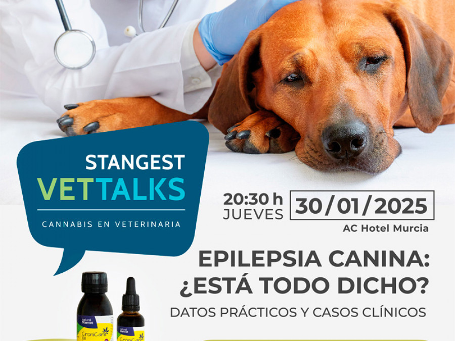 Stangest vet talks