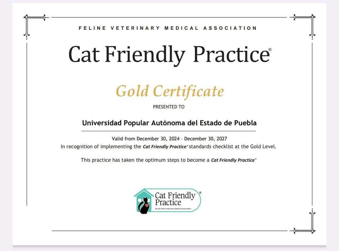 Reconocen con certificación internacional Cat Friendly Practice a hospital veterinario universitario de México