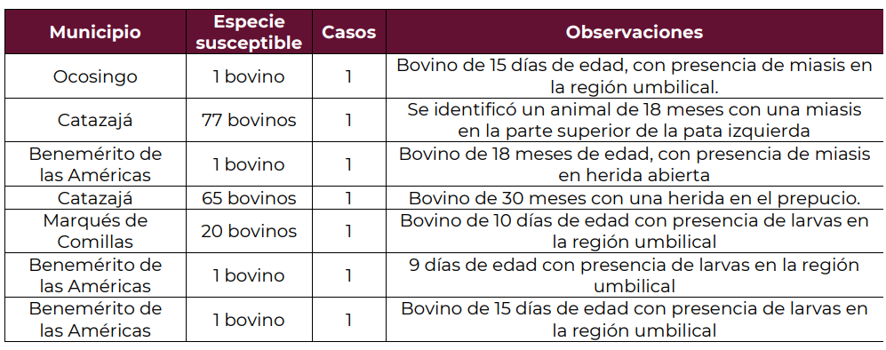 México informa siete nuevos casos de gusano barrenador del ganado