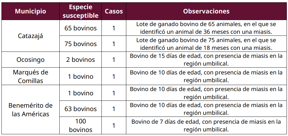 México reporta más casos de gusano barrenador del ganado