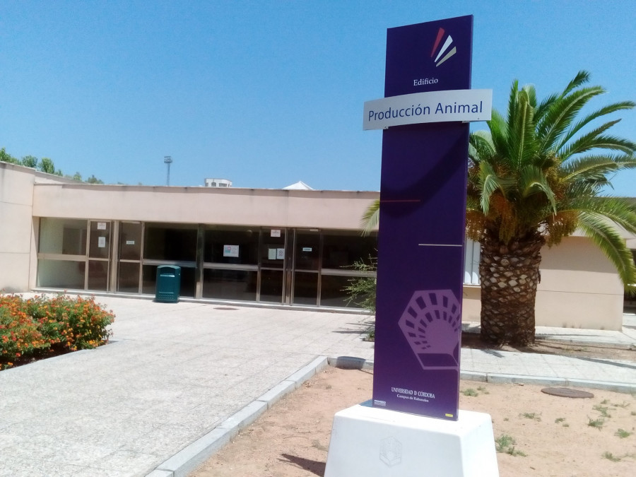 Producción animal universidad córdoba