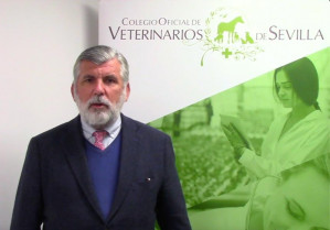 El Colegio Veterinario de Sevilla pide apoyo para los veterinarios afectados por la DANA