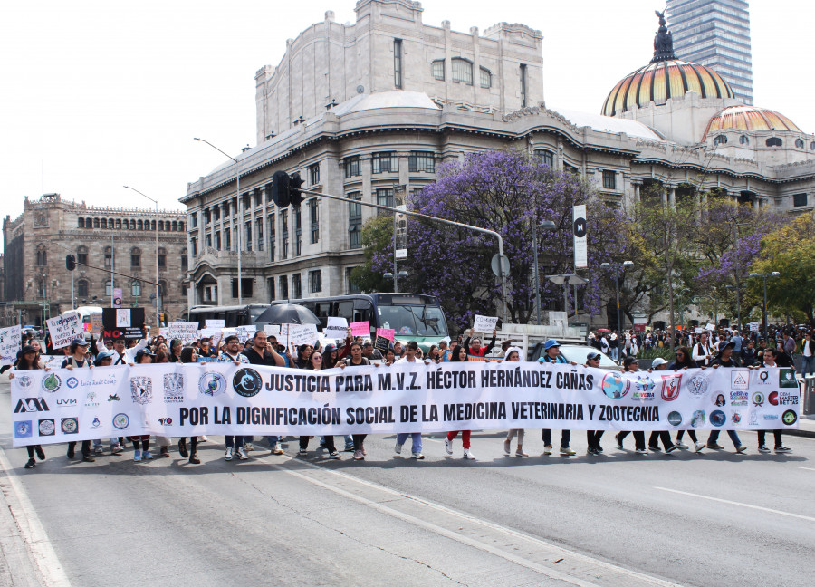 Fotogalería: Así se vivió la marcha y paro nacional por la dignificación de la Medicina Veterinaria en México