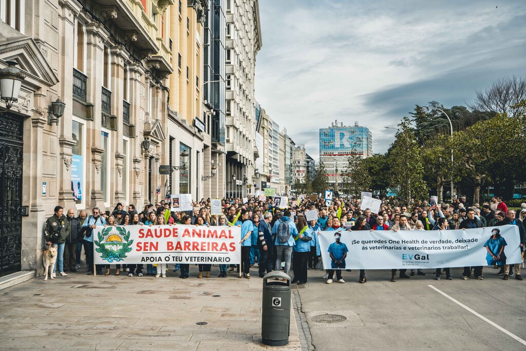 manifestación Veterinarios A Coruña presvet0