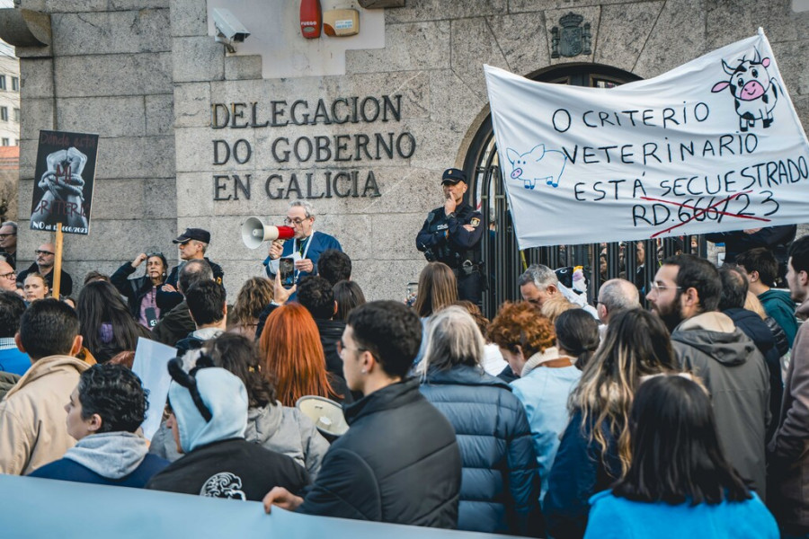 manifestación Veterinarios A Coruña presvet